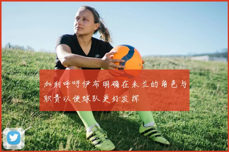 加利呼吁伊布明确在米兰的角色与职责以便球队更好发挥